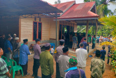 Tragedi di Hutan Singkai, Dede Amar Tewas Tertimpa Pohon, Perjuangan Panjang warga Saat Lakukan Evakuasi