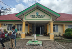 Petani Kepahiang Dapat 18 Unit Traktor, Produktivitas Padi Ditarget Meningkat