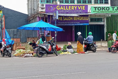 Pedagang di Tepi Jalan Segera Ditertibkan, Ini Warning Pemda Kota Bengkulu