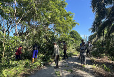Dua Desa Swadaya Bersihkan Jalan Provinsi, Ini  Keinginan dan Tujuan Warga Kabupaten Seluma