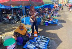 PAD Pasar Kota Bengkulu Sulit Capai Target, Ini Kendalanya