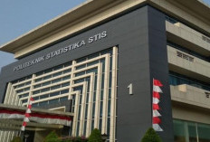 Seleksi Sekolah Kedinasan STIS BPS Dimulai 29 Juni, Ada 3 Jurusan, Kuota 400 Formasi, Ini Syarat Lengkapnya