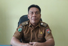 Mukomuko Darurat Kekerasan Anak, Baru 8 Bulan, Kasus 2026 Lampaui Akumulasi Setahun 2025