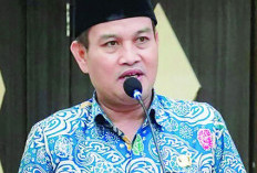 Pemprov Bengkulu Target Hanya Miliki 26 OPD 
