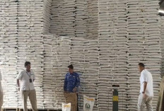  Penerima Banpang di Bengkulu Utara Naik 9.317 KPM