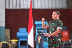 TNI AD Tingkatkan Transparansi Rekrutmen, Ini Cara Baru Laporkan Penyimpangan