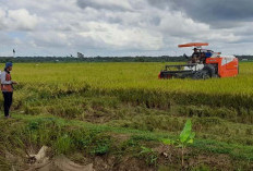  Alsintan untuk Petani Mukomuko Diusulkan Bertambah