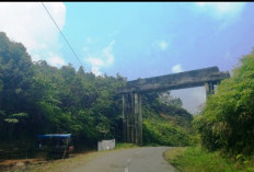 Tapal Batas dengan BU Tak Kunjung Usai, Ini yang Dilakukan Pemkab Lebong