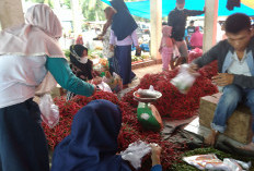 Ayo Jaga Keamanan Pangan di Mukomuko, Begini Caranya