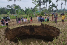 Sumbar Digegerkan Fenomena Sinkhole, BPBD Ingatkan Bahaya Amblas Susulan