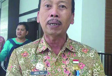 Sapi Kurban Presiden Tembus 1 Ton, Prioritas Peternak Lokal 10 Ekor Disalurkan ke Kabupaten/Kota