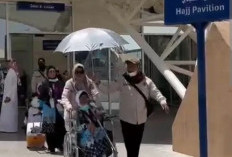  Bikin Haru, di Tengah Cuaca Panas Ekstrem, Petugas Haji Sigap Payungi Jemaah Lansia