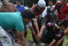 Pelatihan Juru Sembelih Hewan   Ternak di Mukomuko Gagal Digelar, Ini Penyebabnya