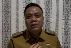 Dewan hingga PPPK Seluma Tercaver  BPJS Kesehatan Seluma 2026, Berikut Rincian Alokasi Anggarannya