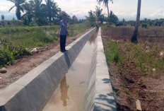  Rehab Irigasi di Mukomuko  untuk Aliri 500 Hektare Sawah, Segini Anggarannya 