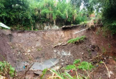 Jalan Penghubung Kecamatan di Kabupaten Rejang Lebong Longsor, Begini Keterangan Plt Kepala Desa