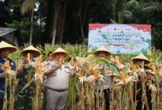 Polres BS Panen Raya Jagung Serentak, Tunjukkan Peran Nyata di Sektor Pangan