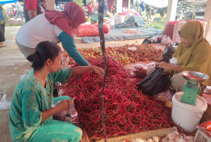 Cabai dan Bawang Merah Dipastikan Selalu Tersedia di Mukomuko, Setelah Dilakukan Ini