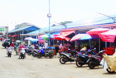 Optimis PAD Parkir Rp 11 Miliar, Khusus untuk Kawasan Pasar Ini di Kota Bengkulu