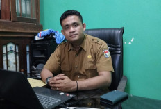 Dorong Ketahanan Pangan Nasional, Mukomuko Genjot Optimalisasi 809 Hektar Lahan Sawah
