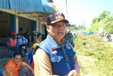 Api di Bawah Pohon Diduga Jadi Pemicu, BPBD Kerahkan 10 Personel Evakuasi Jalinsum