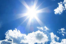 Panas Ekstrem Terjang Indonesia, Suhu Tertinggi Capai 37°C, Ini Penyebabnya 