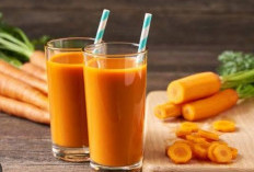 Aneka Jus Buah Dan Sayuran  Bisa Untuk Menurunkan Demam