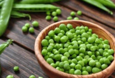  Tak Disangka! Kacang Polong Ternyata Rahasia Jantung Sehat yang Jarang Diketahui, Ini Penjelasannnya 