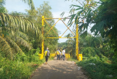  Tim BPJN Tinjau Kondisi Jembatan Taba Pasemah