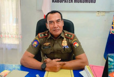 Masih Banyak Ternak Berkeliaran, Satpol PP Mukomuko Angkat Suara, ''Sudah Ada Korban Jiwa''