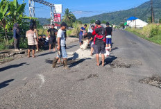 Antisipasi Terjadinya Lakalantas, Warga Gotong Royong Tambal Jalan Berlubang