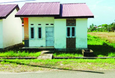 Puluhan Rumah Dilelang, Segini Kisaran Harga yang Ditetapkan KPKNL Bengkulu