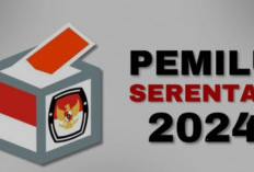 Pilkada Serentak 2024, 36 Daerah dengan Cakada Lawan Kotak Kosong, Berikut Hasilnya 