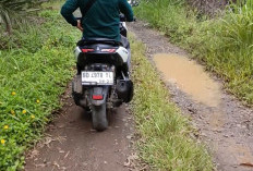 Jalan Kabupaten di Benteng   10 Tahun Tak Diperhatikan, Begini Kondisinya Saat Ini