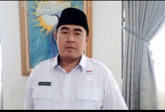 Mangkir, Pemkot Bengkulu Panggil Ulang   Pelaku Penebangan Pohon di Pantai Panjang