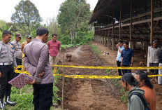  3 Tengkorak Manusia Ditemukan   Terkubur Dalam Guci di Kepahiang, Begini Ceritanya