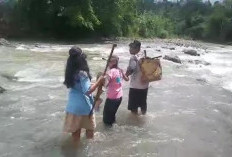  Jembatan Rusak, Petani di Benteng   Jalan Kaki Seberangi Sungai