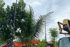 Belum Genap 1 Bulan Menyala, Lampu Jalan Dirusak Oknum