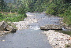 Sungai Kedurang Tercemar   Sampah Rumah Tangga,  IDI Peringatkan Dampak Serius Bagi Kesehatan