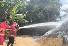 Kobaran Api di Seginim, Sekam Terbakar Akibat Puntung Rokok