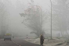 Kabut Asap Kiriman Selimuti Bengkulu, Kualitas Udara Memburuk