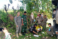  Satpol PP Gencar Tembak   Bius Ternak Berkeliaran