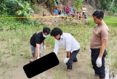 Hilang Sehari, Remaja Kayu Kunyit Ditemukan Meninggal di Sawah