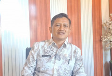 Tekan Biaya Produksi Petani, Mukomuko Minta Alokasi Combine Harvester dan Traktor ke Kementan