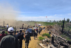 Penertiban Kebun Sawit Ilegal di Kawasan HPT Air Ipuh Tuntas, Selanjutnya Tim Bidik Kawasan Lubuk Pinang
