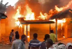 1 Unit Rumah Warga Desa Lubuk Jale Ludes Dilalap si Jago Merah, Diduga Ini Pemicunya 