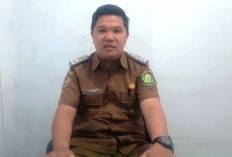 Marak Korban TPPO, Warga Dimbau Waspada, Pastikan Penyalur Resmi