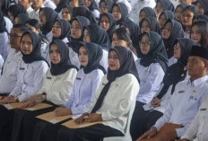 Pengangkatan Ditunda, Pemerintah Pastikan Gaji Tenaga Honorer Tetap Dibayar Selama Masa Transisi ke PPPK