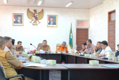  Rejang Lebong Bentuk Tim Kontinjensi Bencana, Ini Tujuannya