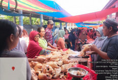 Disdagperinkop Benteng Pantau Harga Sembako, Begini Hasilnya